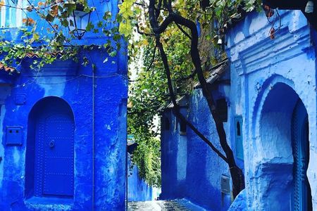 Chefchaouen Full day trip From Fez - Private transportation