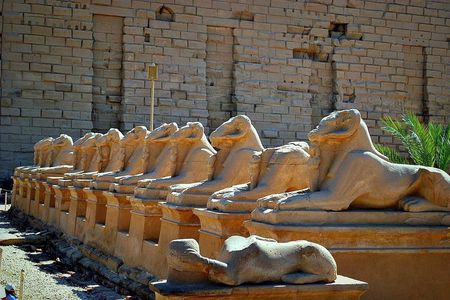Egypt trip package for 8 nights with tours and a Nile cruise trip