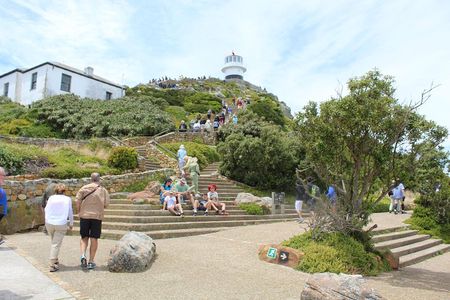 Cape Of Good Hope, Penguins Private Tour from Cape Town full day 