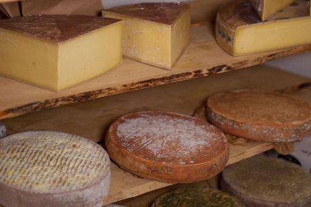 Paris Art of Pairing Cheese and Wine Tasting in a Cheese Cellar