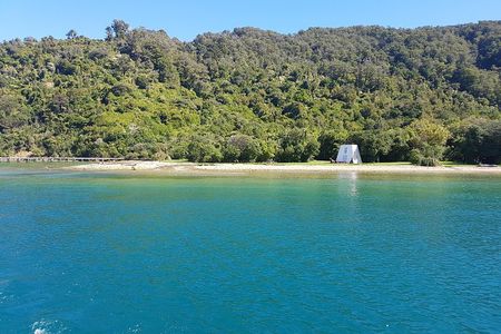 Half-Day Cruise in Marlborough Sounds from Picton