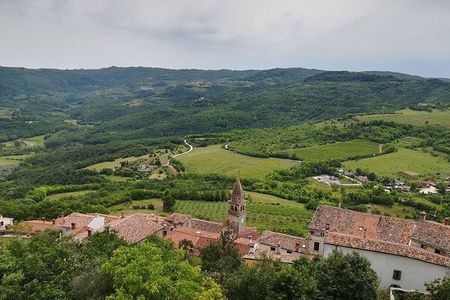 Full day tour of Istria