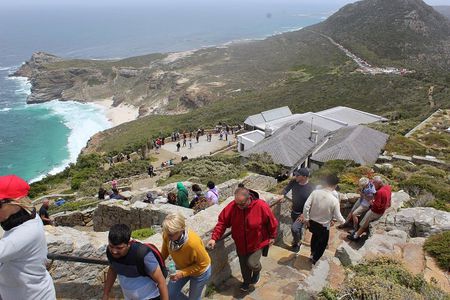 Private Cape Point Penguins Tour-Exploring the Cape Peninsula F/D