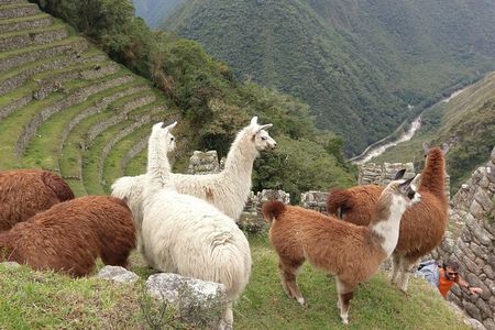 Inca Trail trek 2 Days / 1 night