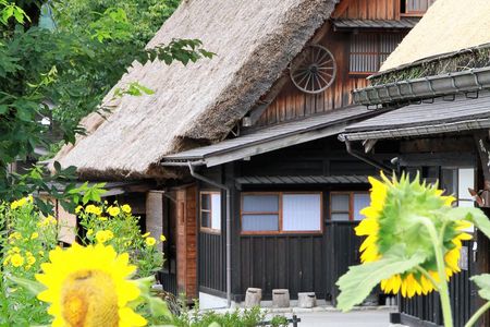 Gokayama and Shirakawago (UNESCO Heritage) Small Group(Max 9)