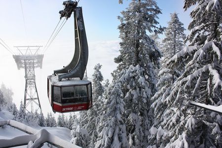 Private Tour: Capilano Suspension Bridge and Grouse Mountain