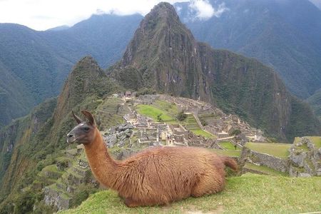 Machu Picchu Day Trip from Cusco – Full-Day Tour