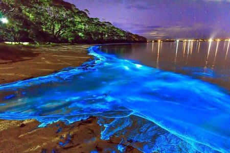 Luminous Lagoon and Rose Hall Great House Night Tour