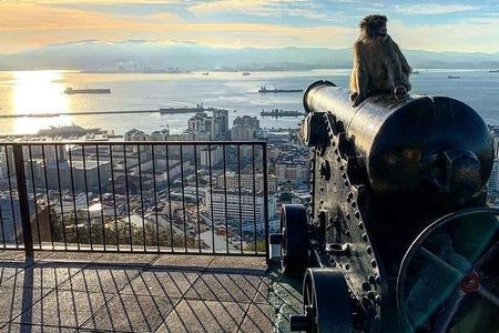 Gibraltar Sightseeing : Extended Rock Tour / Shore Excursion (Private)