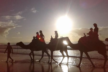 Essaouira: 2H camel/pick up and drop off including 