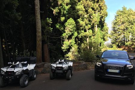 Volcano in Quad and Private Driver - 2 to 4 passengers