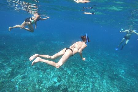 Snorkeling Experience Cozumel only from Playa del Carmen