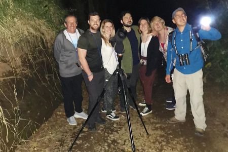 Monteverde Night Tour