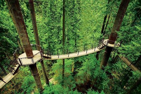 Small Group Tour: Capilano Suspension Bridge and Grouse Mountain from Vancouver
