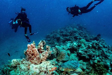 Exploration dives for experienced divers