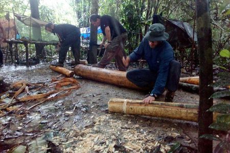  Extreme Survival Training 12 Day Tour "Green Wild Amazon Expedition"