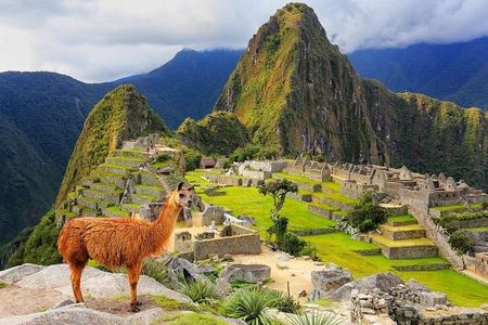 Excursion to MachuPicchu from Cusco with lunch | Private Service|