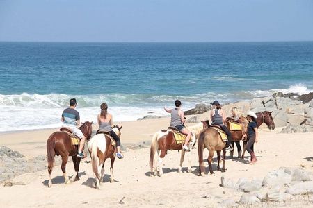 Beach & Desert Horseback Tour