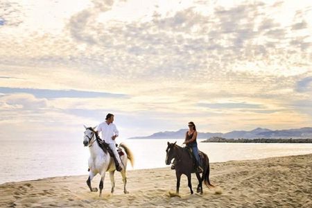Horseback Riding on The Beach and Through The Desert! 