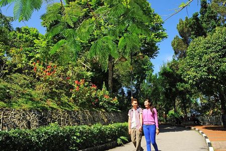 Half Day Penang Guided Trip With Kek Lok Si Temple