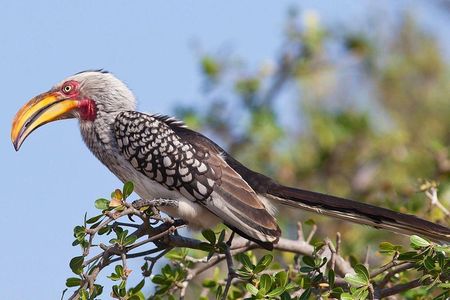 2 Days 1 Night Mikumi National Park from Dar es salaam
