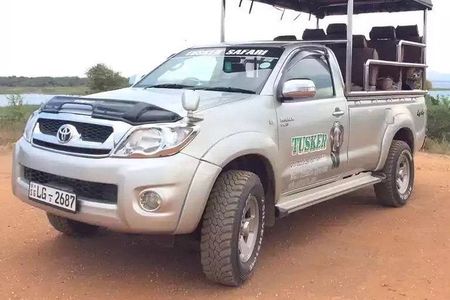Udawalawa Full day Jeep Safari
