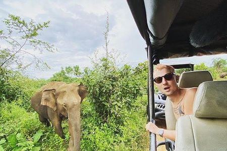 Udawalawe National Park - Full Day Safari Tour