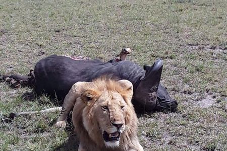 5 days maasai mara -lake naivasha-lake nakuru