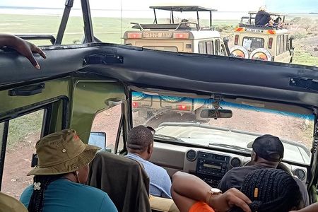 Ngorongoro National Park and Game Drive: Guided Day Tour from Arusha