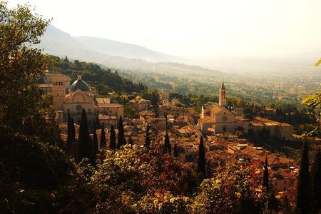Basilica of St. Francis of Assisi. Tour with official guide