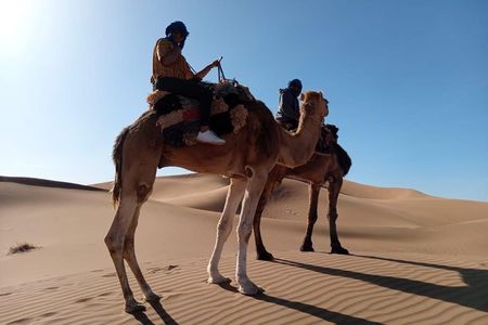 2 days Zagora Desert Tour from Marrakech