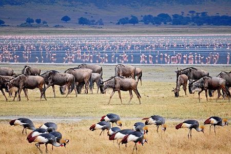 Ngorogoro Crater Tarangire And Lake Manyara Joining Group Safari