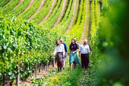 Tasmanian Premium Wine Tour with Tasmanian Cheese Platter