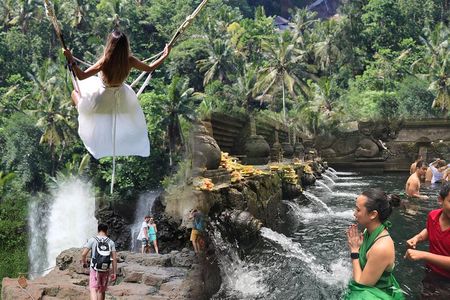 Full day Tour to Best of Ubud with jungle swing