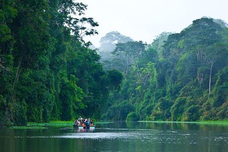 1 Night in Tortuguero + Tour to the Tortuguero National Park 