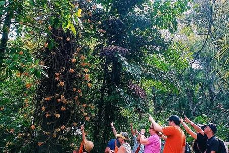 A Journey Through Carambola Gardens & Optional Beach Time or West End Shopping