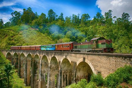 Ella Private Day Tour From Kandy