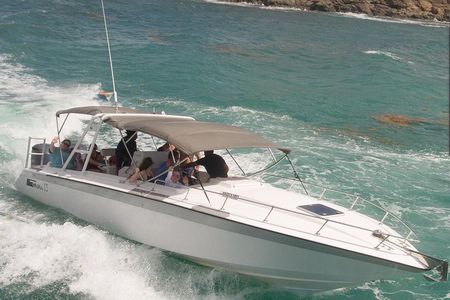 CAPTAIN ALAN'S 4hr -3 Islands-snorkeling-turtles-beach ADVENTURE