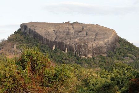 Pidurangala Rock All Inclusive Day Tour From Colombo