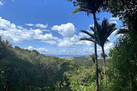 Waiheke Island Private Guided Te Ara Hura Walk