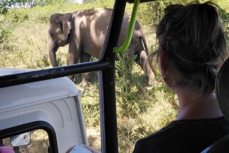 A Udawalawa Park safari, Tour from Colombo/Galle- (All inclusive)