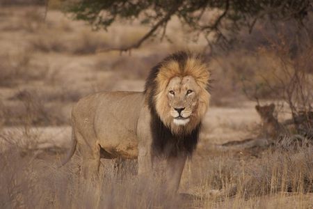 6 Day Private Guided Accommodated Namibian Loop 