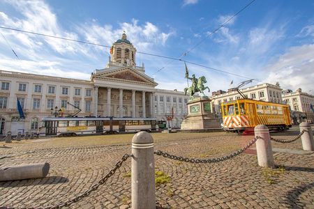 Historic Brussels: Exclusive Private Tour with a Local Expert