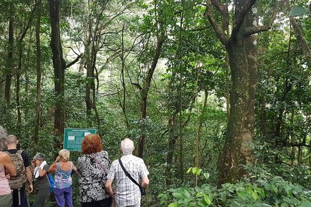 Vermont Nature Trail Hike