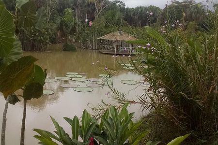 Full day tour amazon river 2020