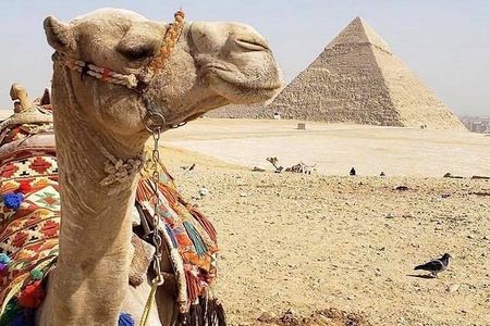 Private Day Tour to Cairo from Portsaid Port & Hotels