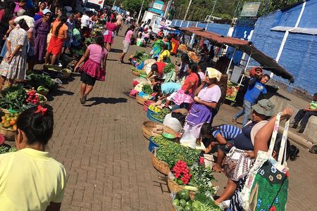 Coffee Country and Ruta de las Flores. A day full of fun!
