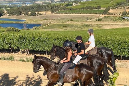 2h – Horse Trail