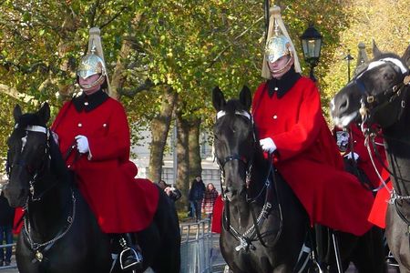 Private Walking Tour of Royal London with Changing of the Guard