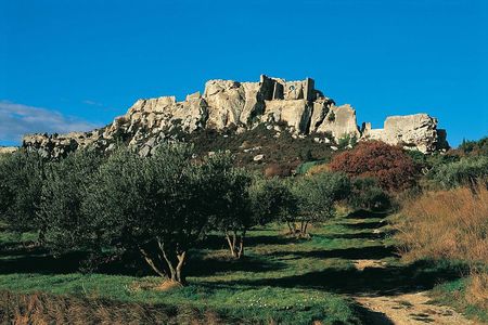 Full Day Best of Provence Tour from Avignon